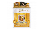 Spin Master HARRY POTTER MINI FIGURKY V RÁMEČKU