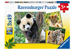 Ravensburger Panda, tygrys i lew 3x49 elementów