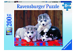 Ravensburger Puzzle Puppies Husky 200 elementów XXL
