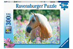 Ravensburger Horse 300 elementów