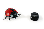 Magana Mac Toys Pilot zdalnego sterowania Mac Toys Ladybug