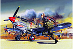 Academy Model Kit samolot 12456 - P-40B (1:72)