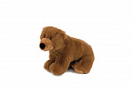 Teddies Miś pluszowy Miś brązowy 20x13cm wypełniony kulkami 0m+
