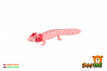 ZOOted Axolotl meksykański zooted plastikowy 8cm w torbie