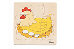 Woody drevené puzzle na doske - Vývoj sliepky