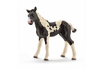 Schleich 13803 Zvieratko - žriebä Pinto