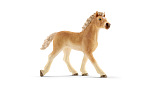 Schleich 13814 Zvířátko - haflingerské hříbě