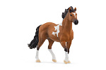 Schleich 13978 Zvieratko - žrebec Mangalarga Marchador