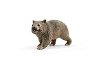 Schleich 14834 Zvieratko - wombat