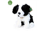 Rappa Plyšový pes Border kólia sediaci 28 cm ECO-FRIENDLY