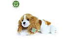 Rappa Plyšový pes Kavalier King Charles španiel ležiaci 30 cm ECO-FRIENDLY