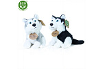 Rappa Plyšový husky 16 cm ECO-FRIENDLY