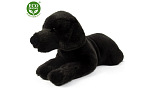 Rappa Plyšový Labrador čierny 40 cm ECO-FRIENDLY