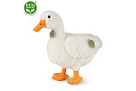 Rappa Plyšová kačica biela 33 cm ECO-FRIENDLY