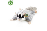 Rappa Plyšová vakoveverica lietavá 30 cm ECO-FRIENDLY
