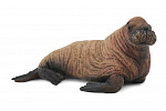 Collecta Zberateľské zvieratá collecta Ice Walrus - mláďa
