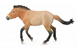 Collecta zvieratá Collecta Prevalsky's Horse