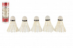 Teddies Loptičky/Košíčky na bedminton perové 5ks v tube 6,5x19,5x6,5cm