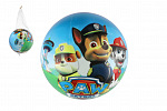 Teddies Lopta Labková patrola/Paw patrol nafúknutá 23cm v sieťke